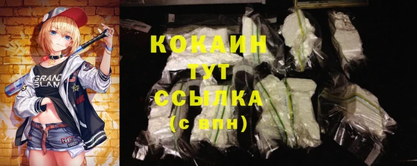 спайс Каменногорск