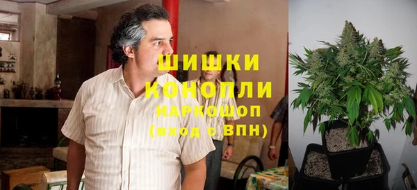 сатива Каменск-Шахтинский