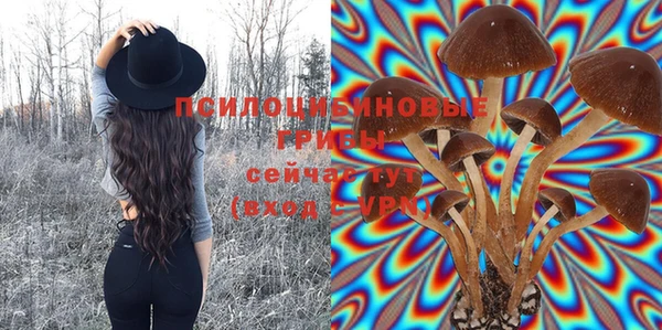 сатива Каменск-Шахтинский