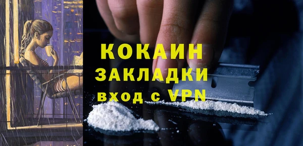 сатива Каменск-Шахтинский