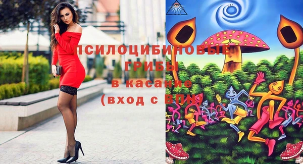 спайс Каменногорск