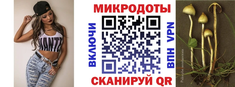 Купить  Вичуга  Галлюциногенные грибы MAGIC MUSHROOMS 